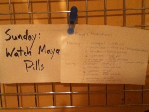 Maya's medication