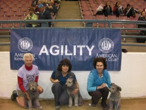 SANYO DIGITAL CAMERA